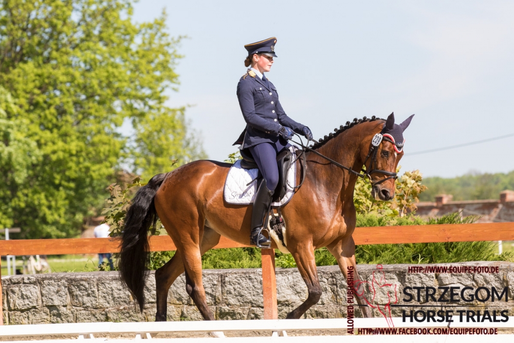 Strzegom Horse Trial 2017 - Thursday