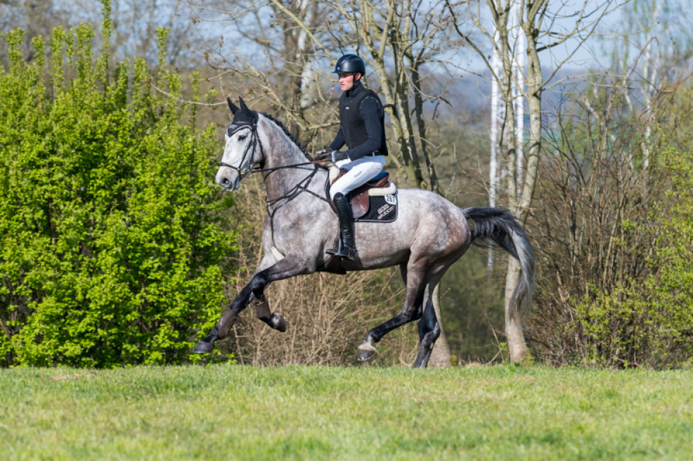 Vielseitigkeitsturnier RV Lippe Bruch Gahlen